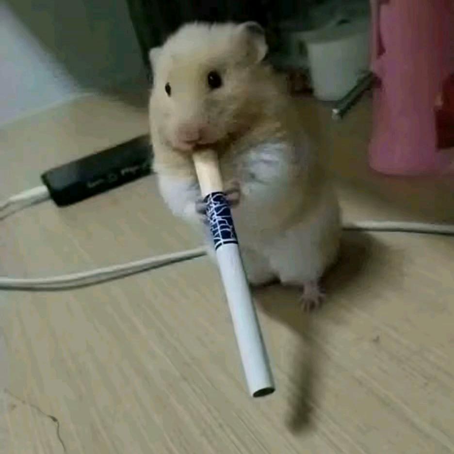 爱芒果^_________^
