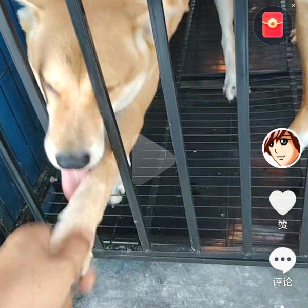 发发发