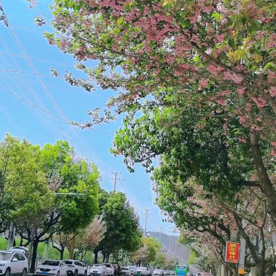 ໑ຼₒ໑ຼ₅关闭💝烦恼ღ᭄²⁰²⁵