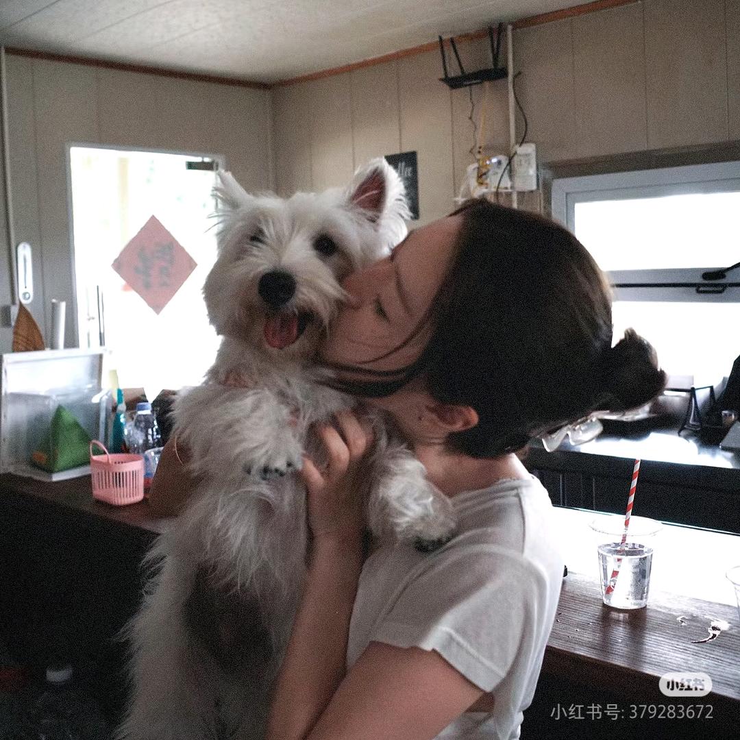 懒懒大王plus版👑