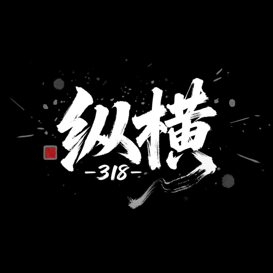 纵横-318