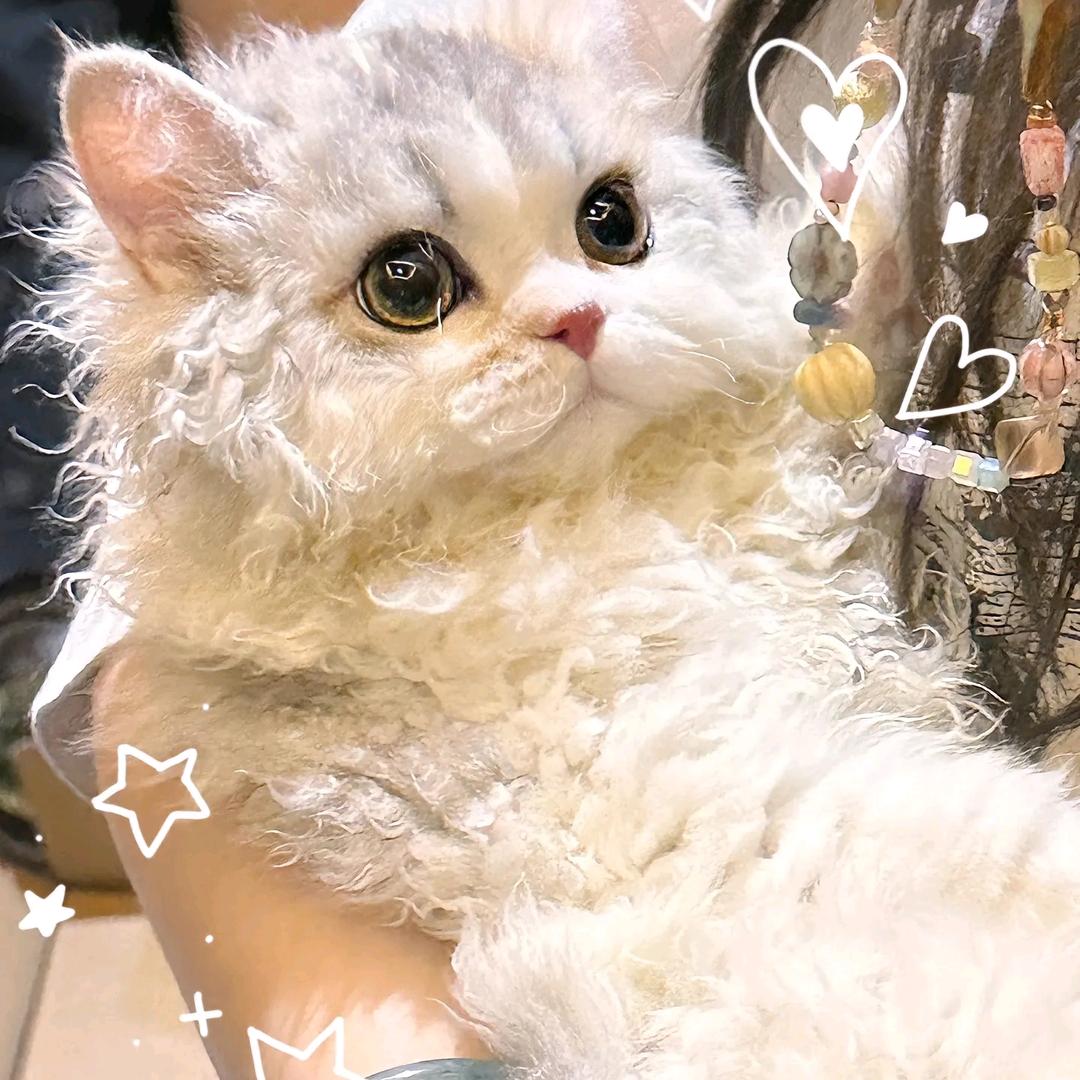 咦呀