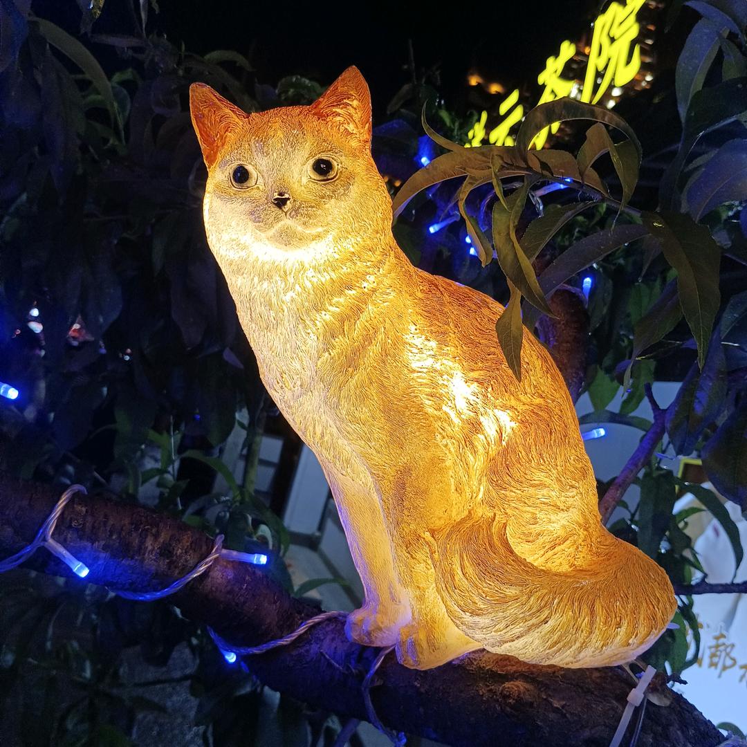 ٩(￥A￥)۶行不通