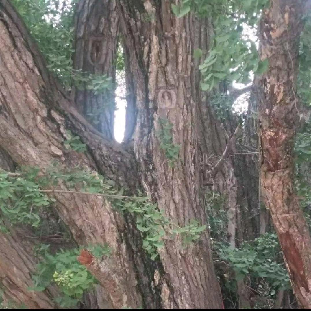 ᭄꧔꧔ᩚ终ꦿ℘究꯭ᩚꦿ是戏