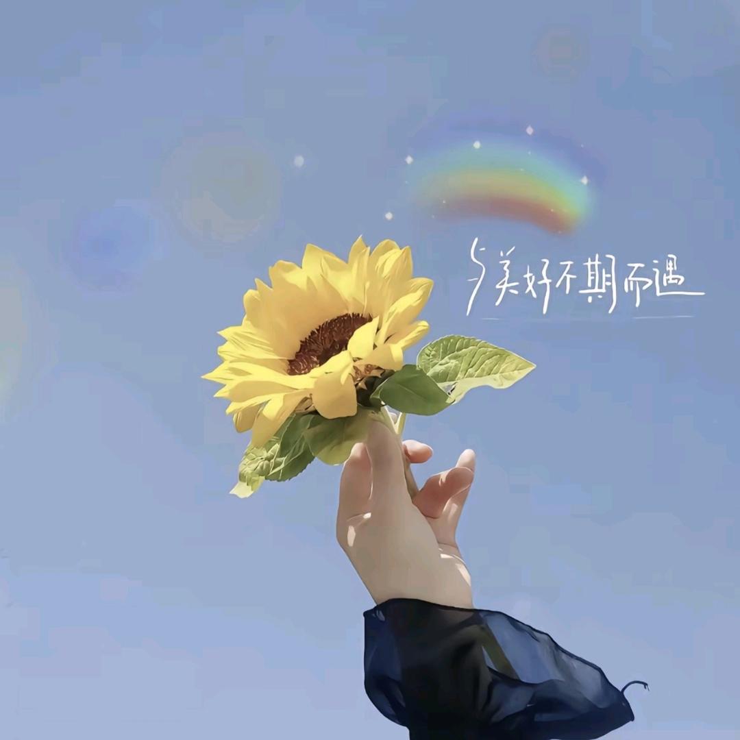 是闷气包吖
