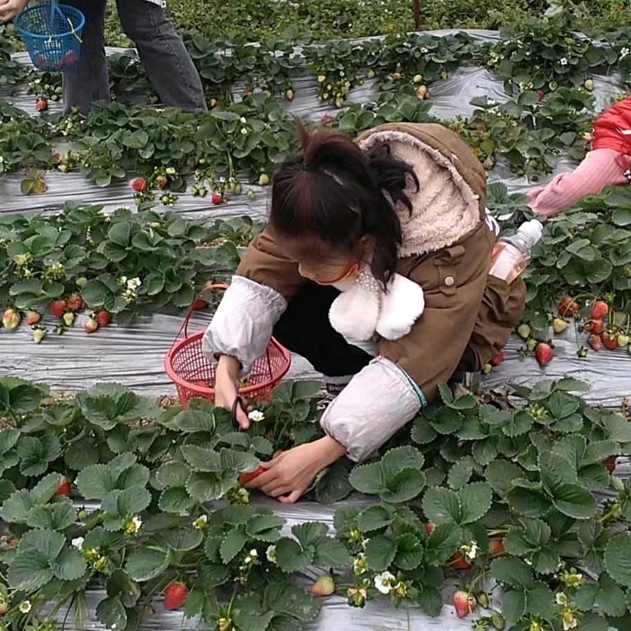 紫怡