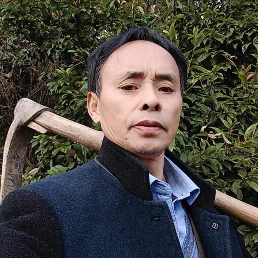 ？池州金龙上山采购