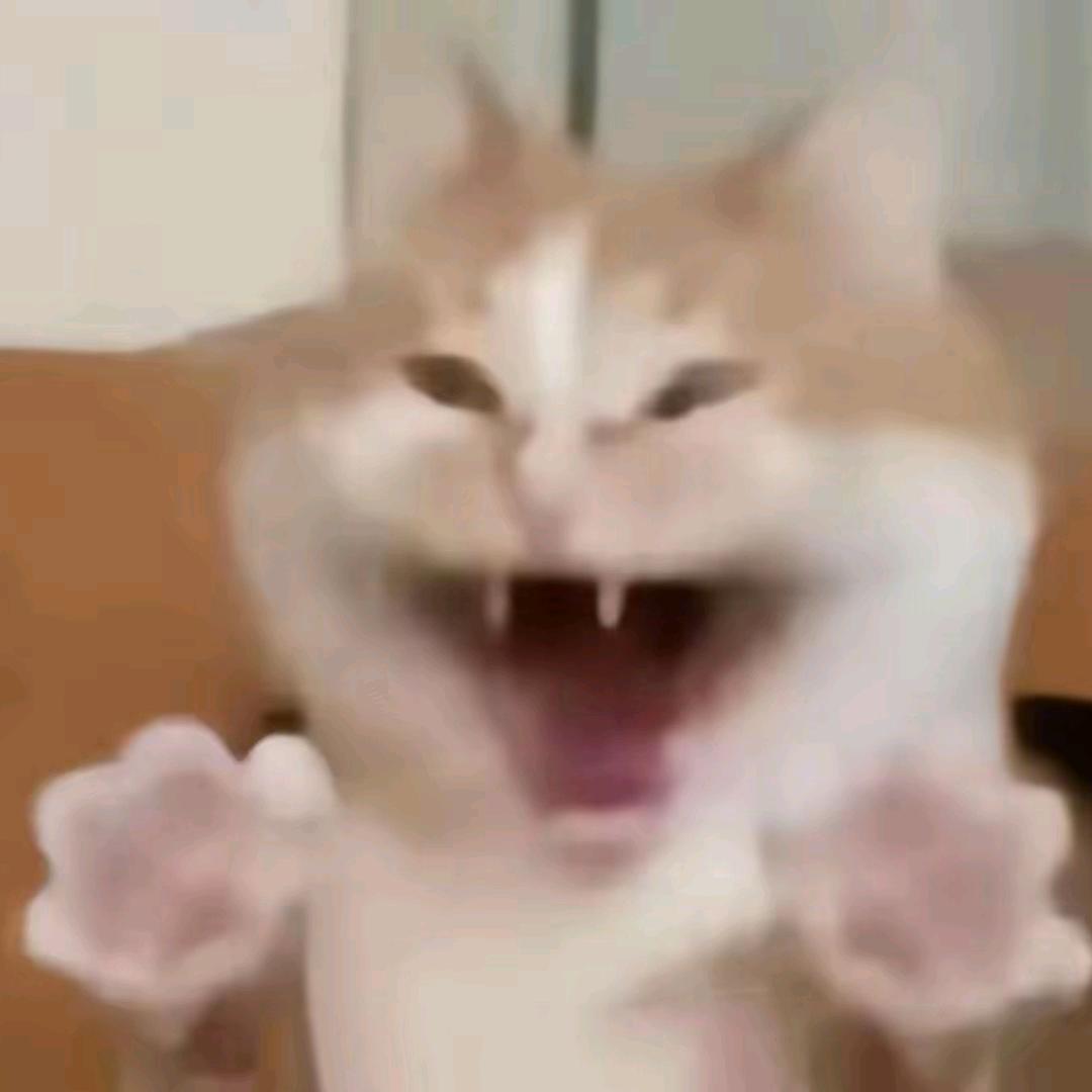 半云不想吃子弹