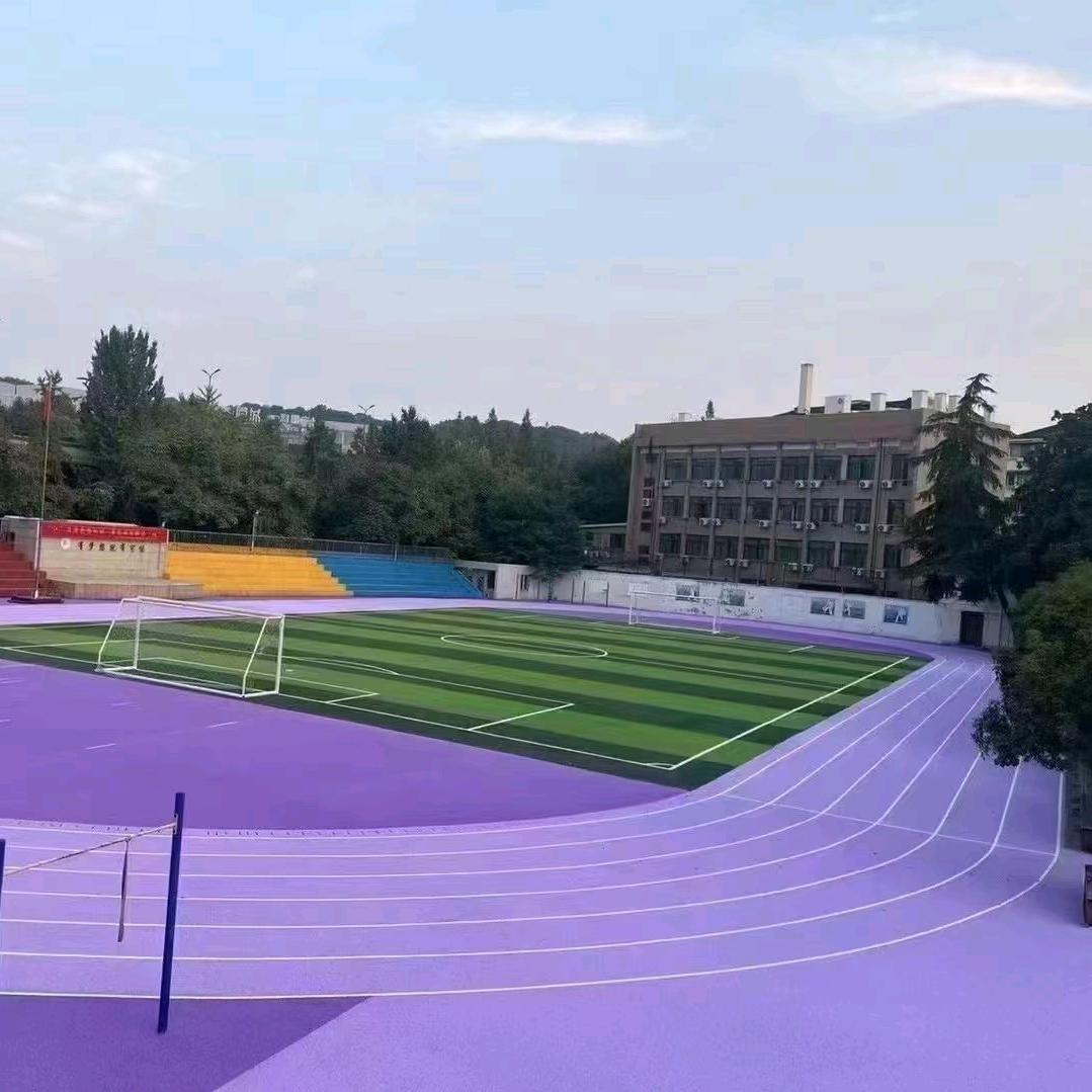 体育人的征程～齐