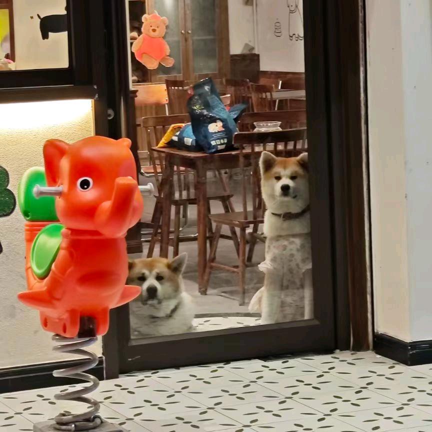 可能要孤寡了