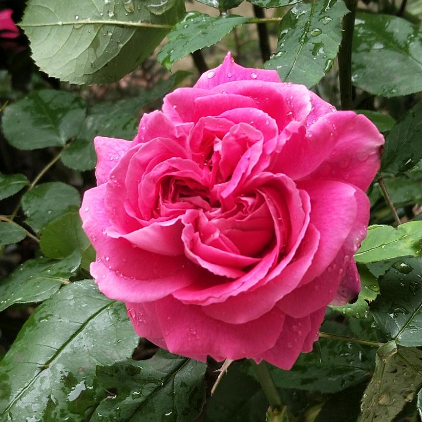 吉祥如意！！！！