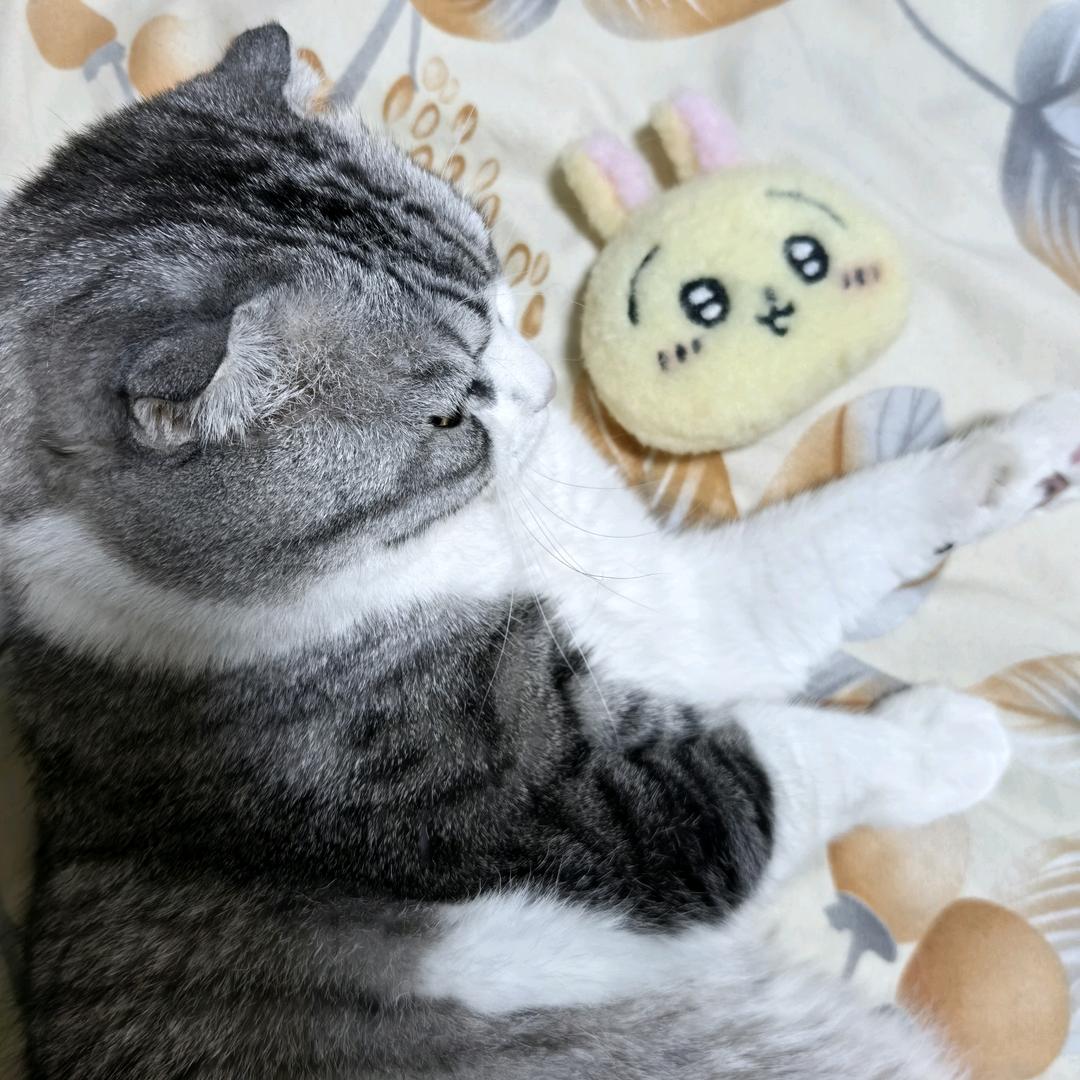 不吃鸡蛋黄.