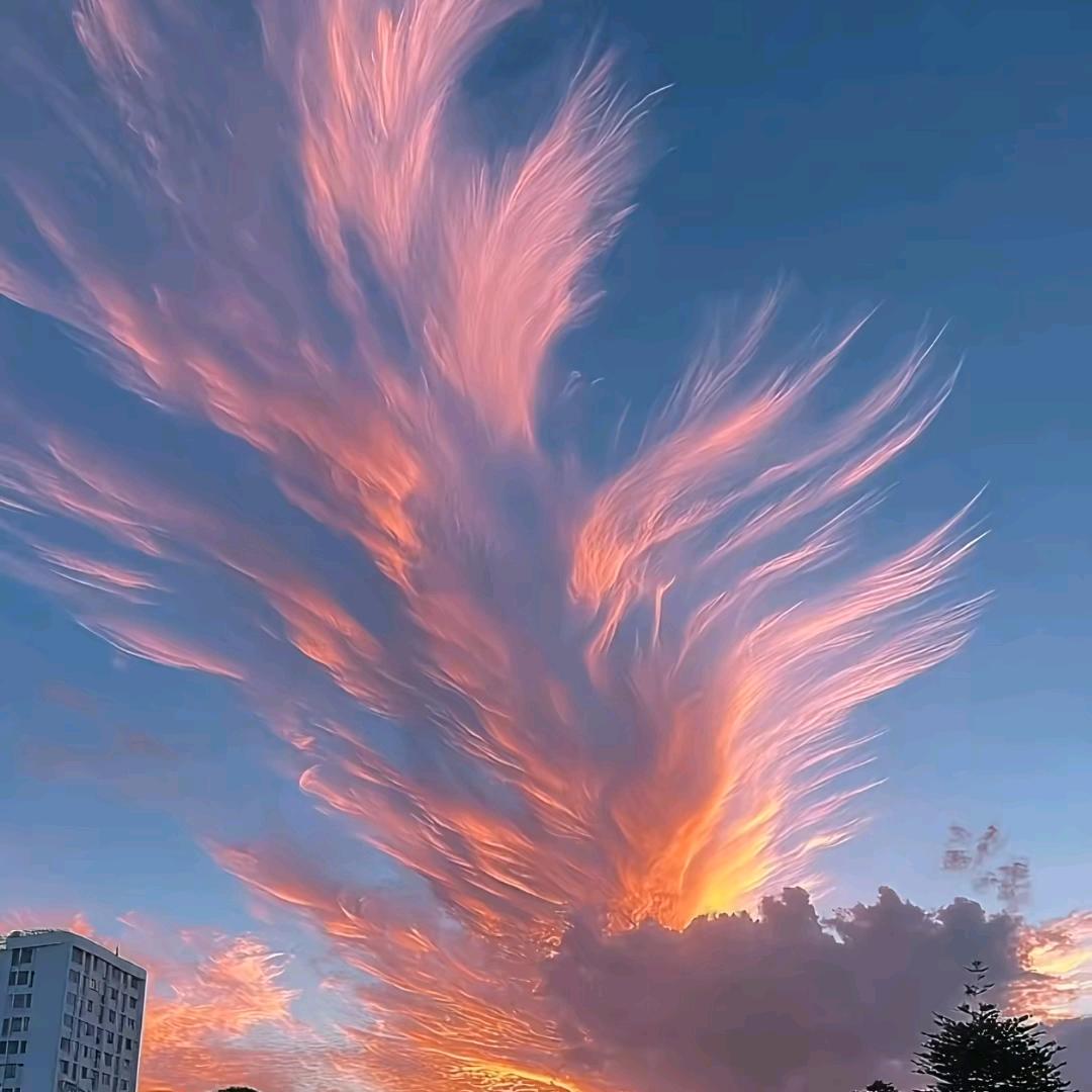飞云逐月