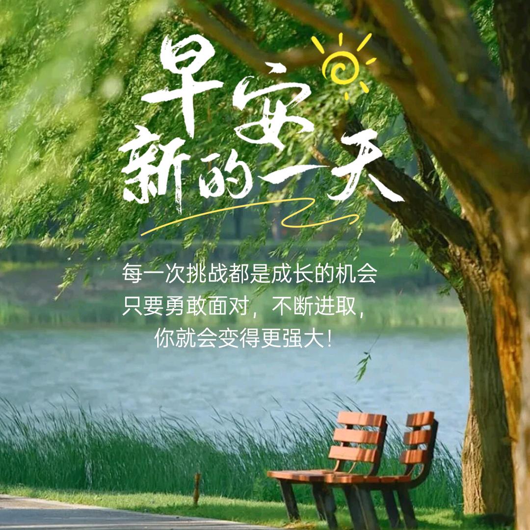 我是一只鱼