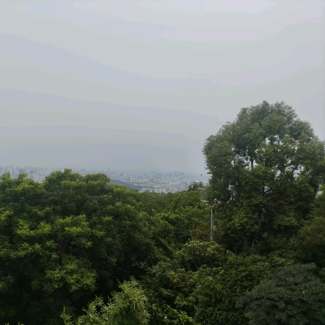 忘忧星际