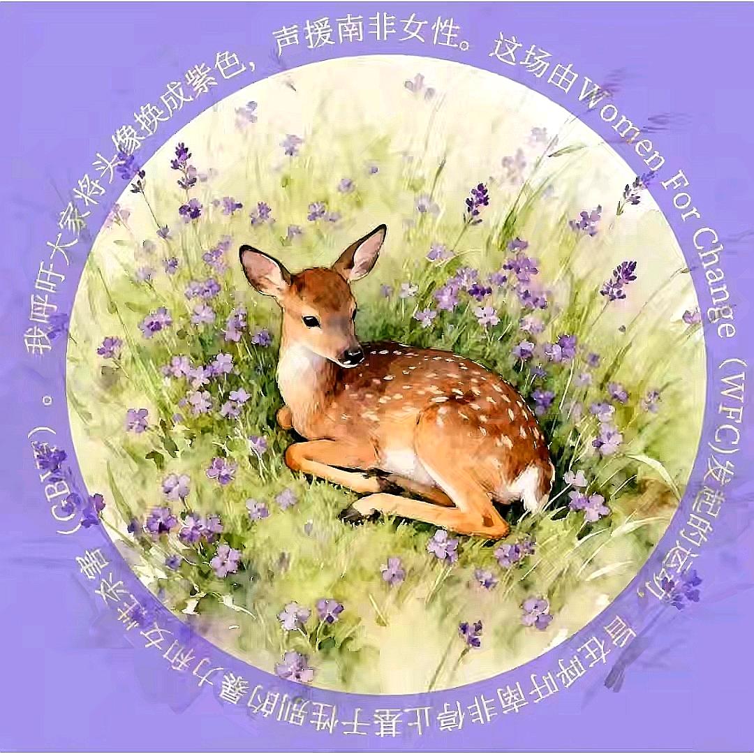 .✙.雾月.✙.『Hazymoon』.