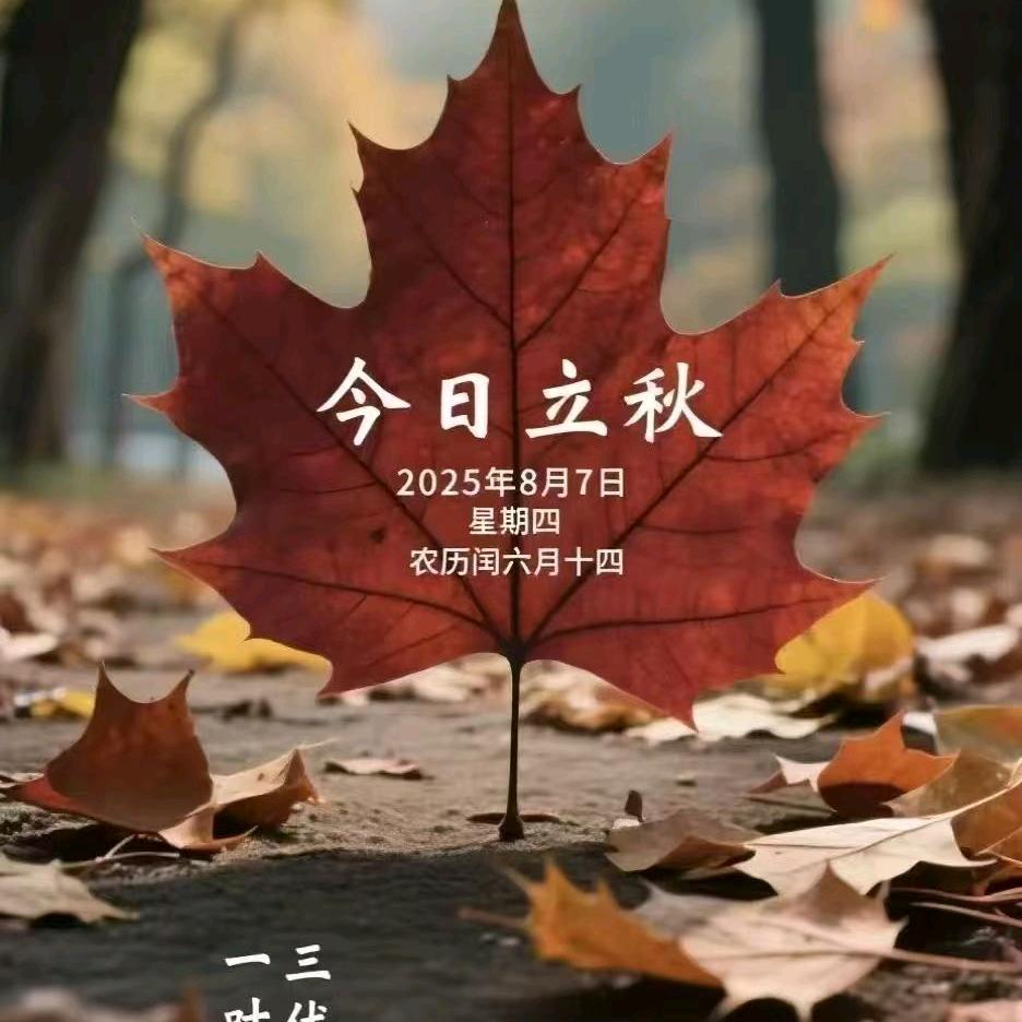 美好的一天