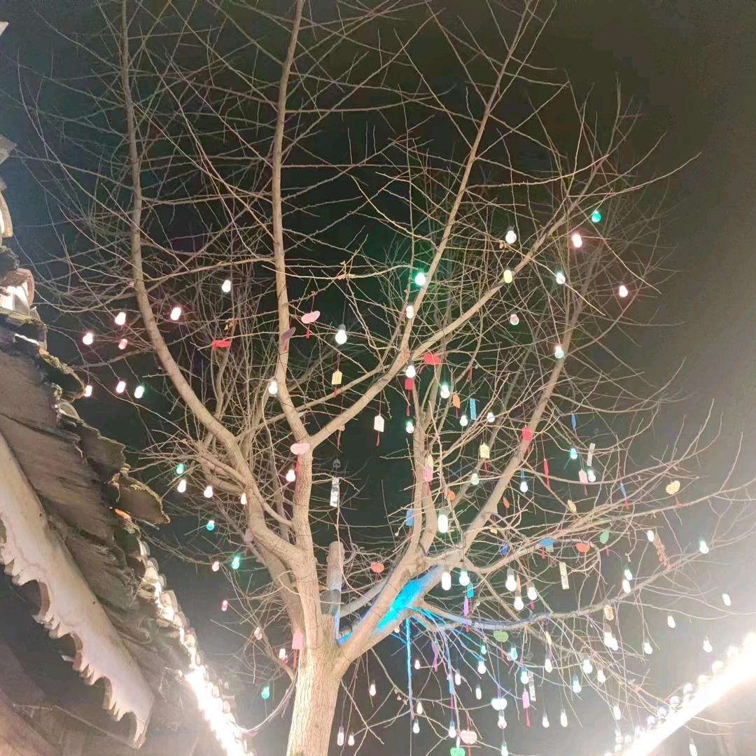凝望、那陌生的风景