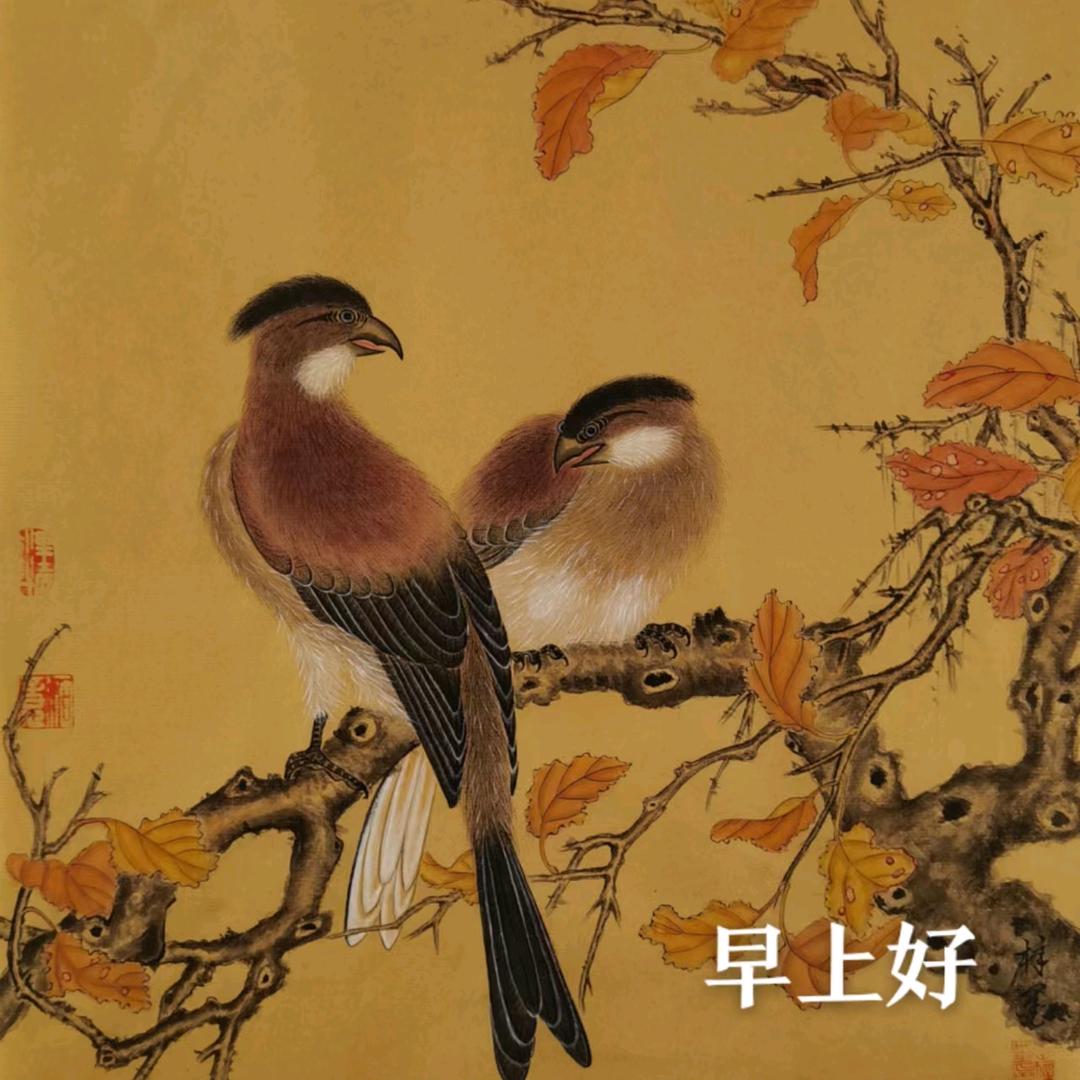老来俏视频
