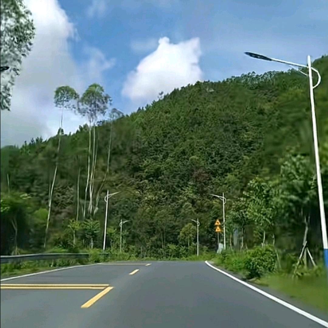 ※南风