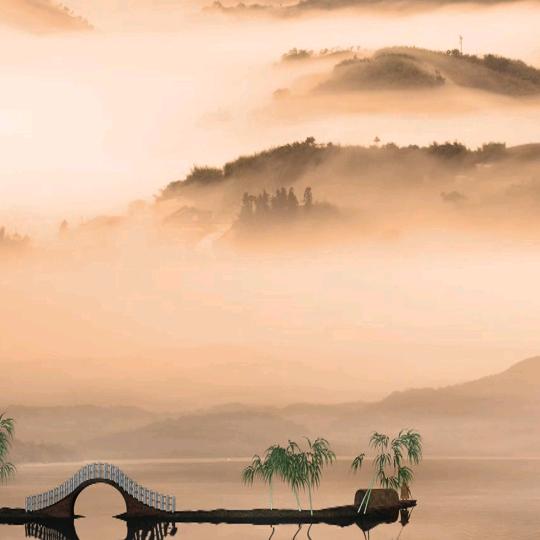 南山有蝉