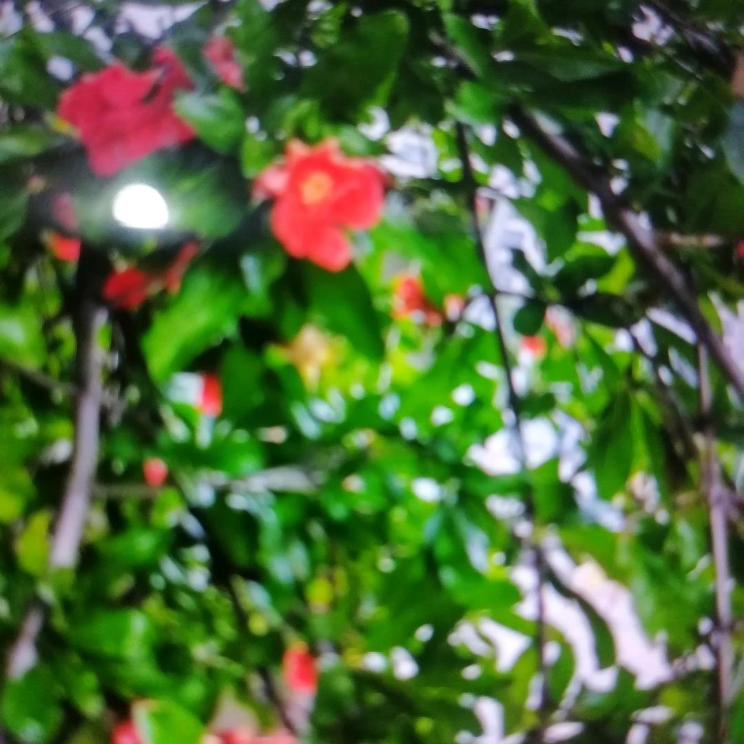 路过的
