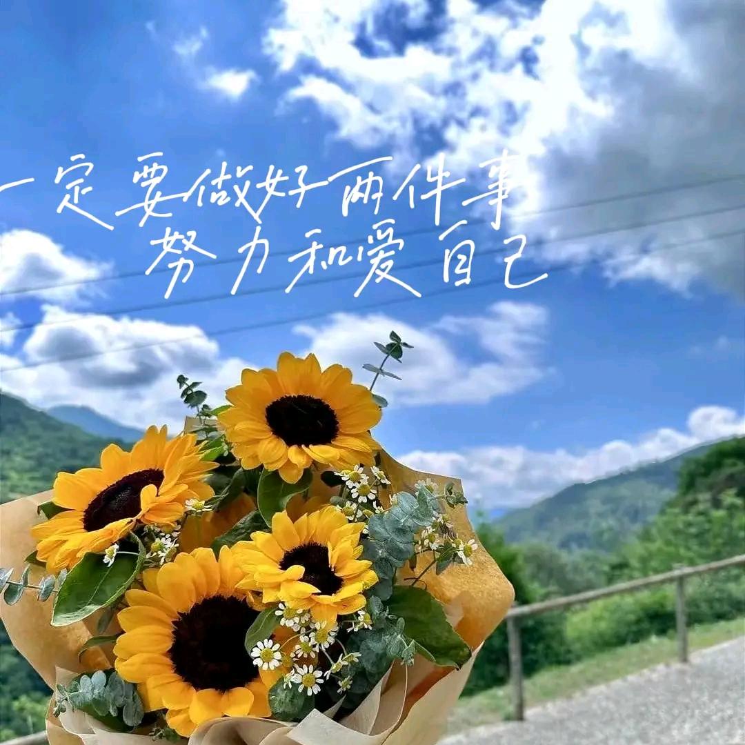 ঞᩚღ᭄野酷🍒阿姨᭄