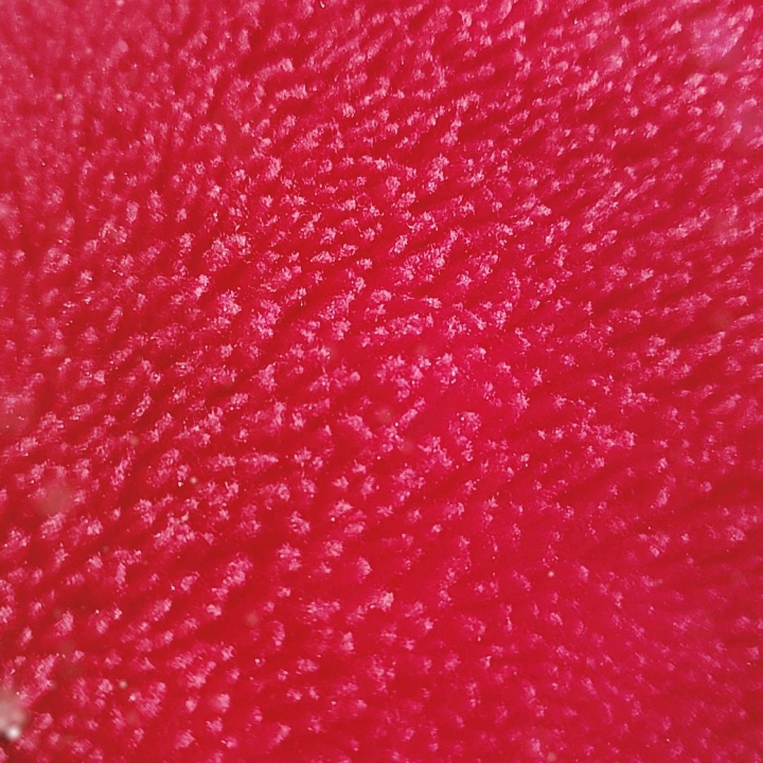 @🌷ᦦ້ᮨ꯭໌᭄沫ོྂ语ོ🌹ꦿꦿ