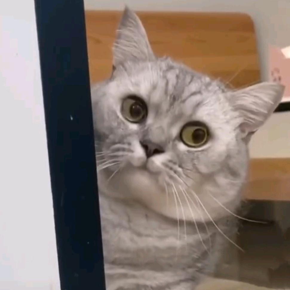 莫挨我