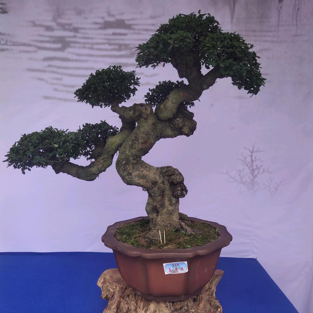 宇航园艺
