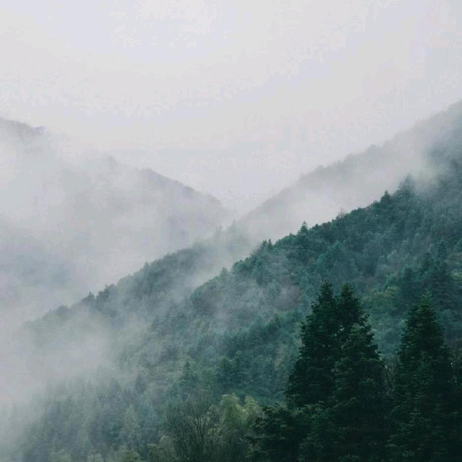 北湖房屋托管，济宁一中房屋租赁