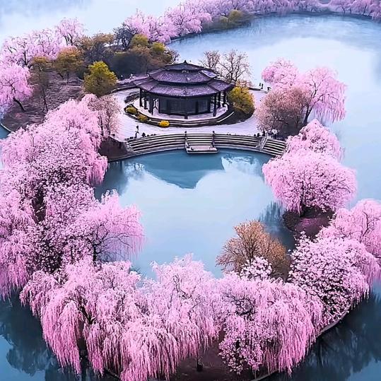 毓可