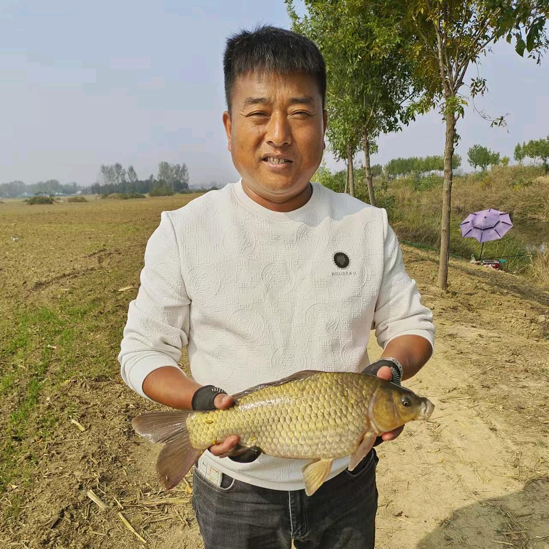 鱼你同邢