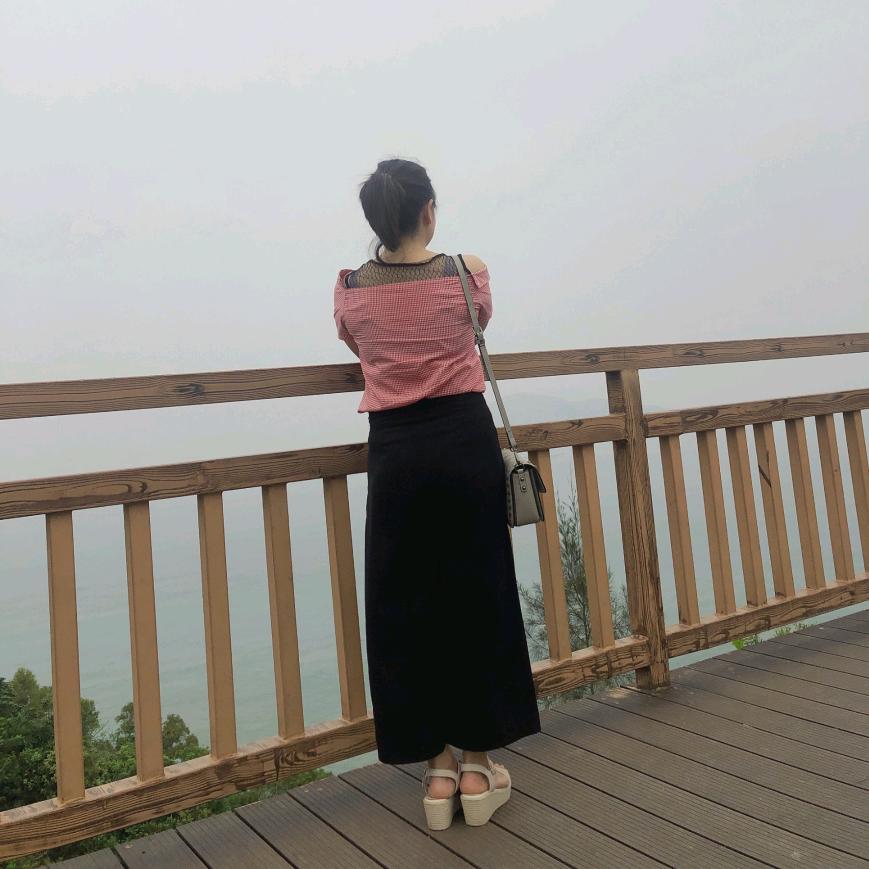 傲慢的尘埃