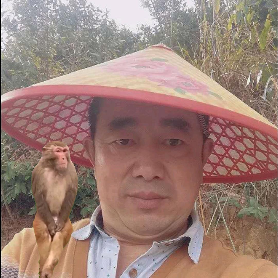 猴哥68.6