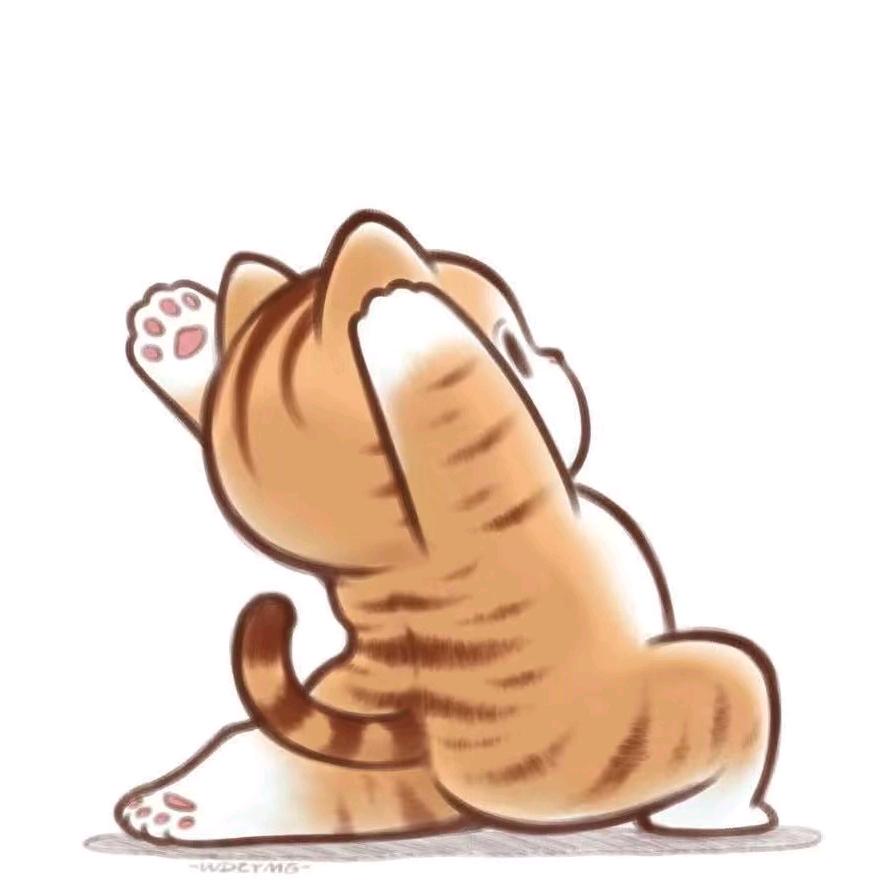 见云开