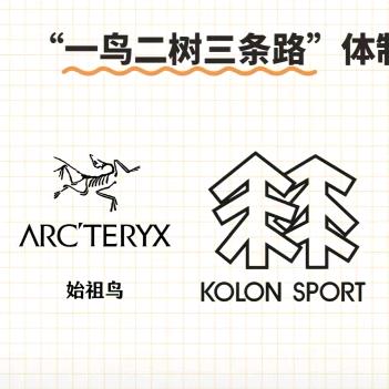 扶摇优选
