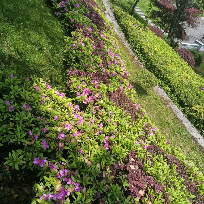 静心🎶电台