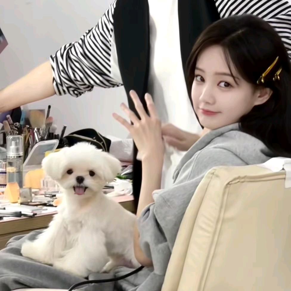 悲伤的猪大肠🍐