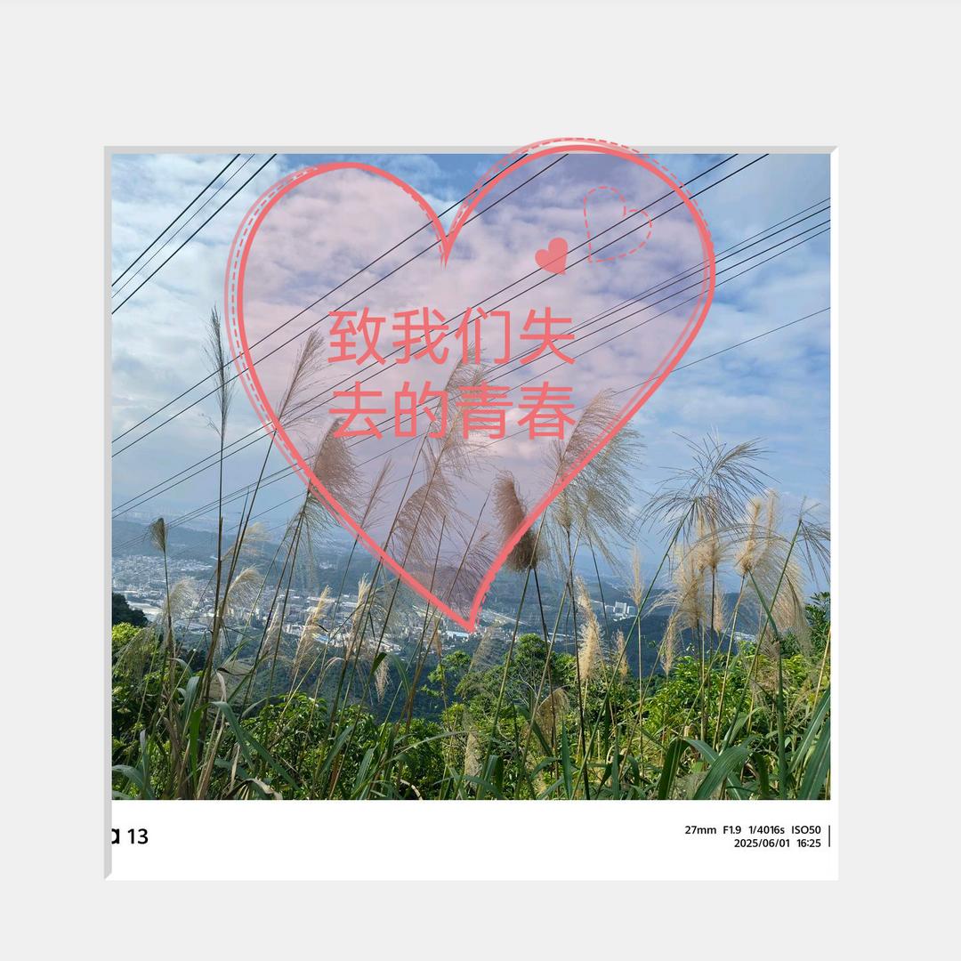 一个人挺好