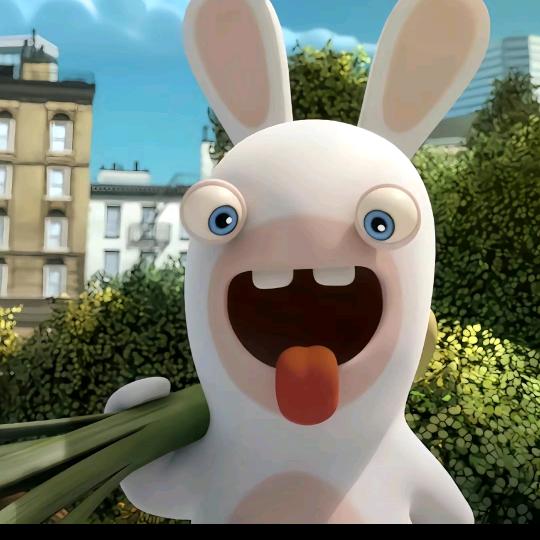 （主页新生裙）重大🐶学长