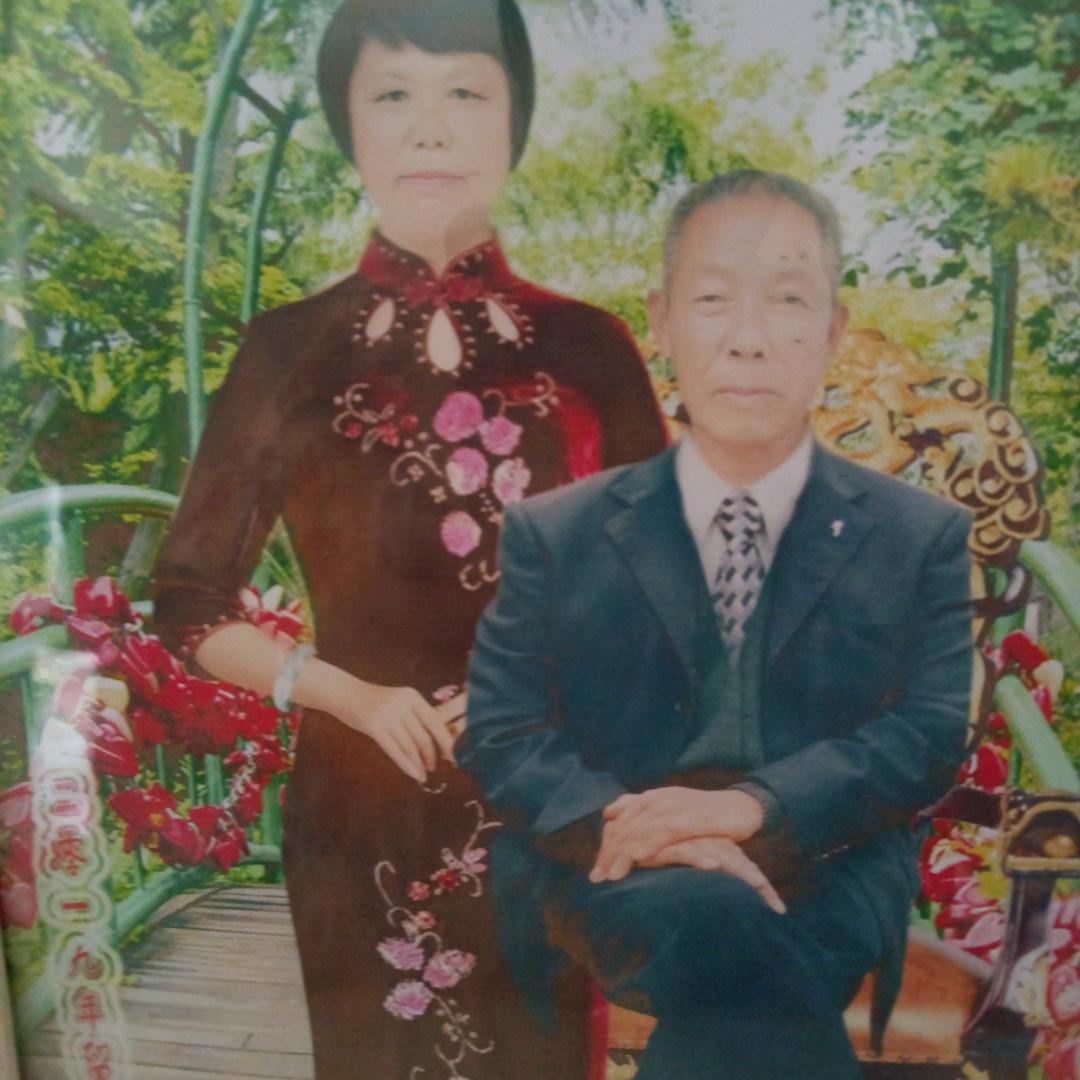 朱新芝