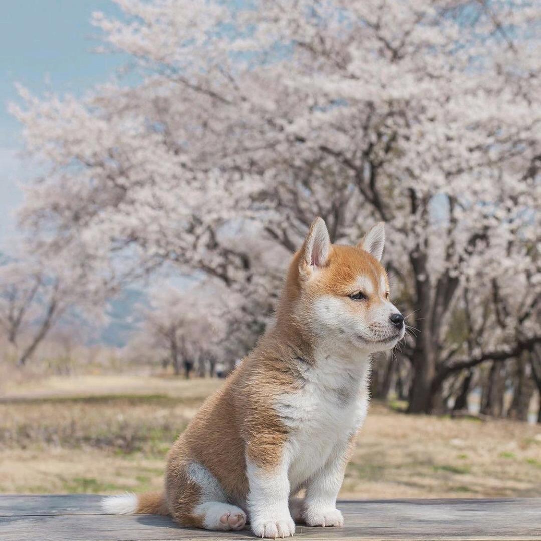 卡关日记