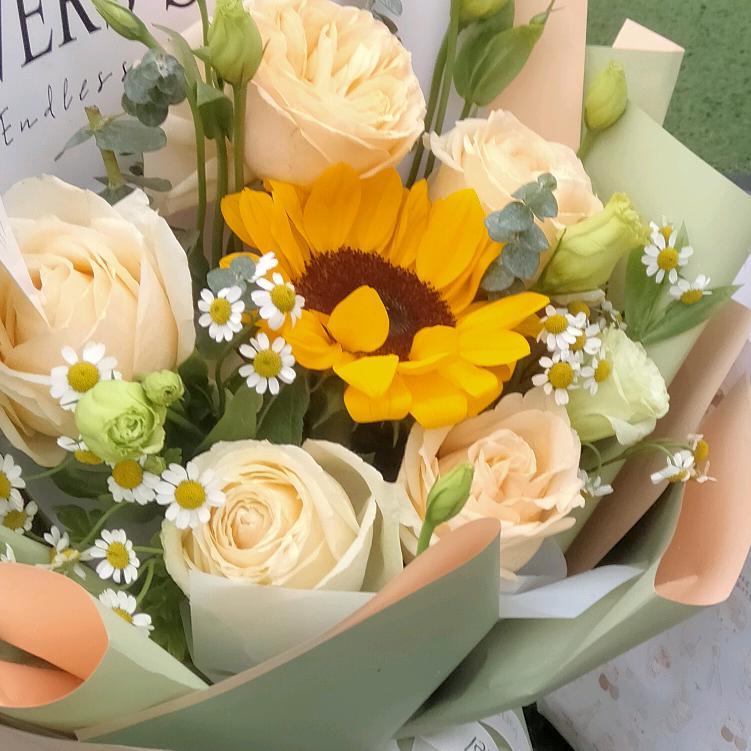 封开小黄(杰克)缝配