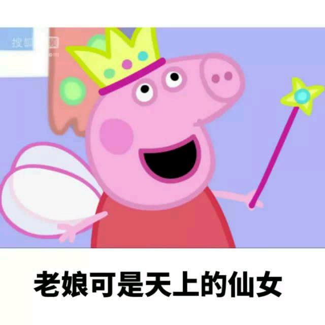 晓舟别打王者了！