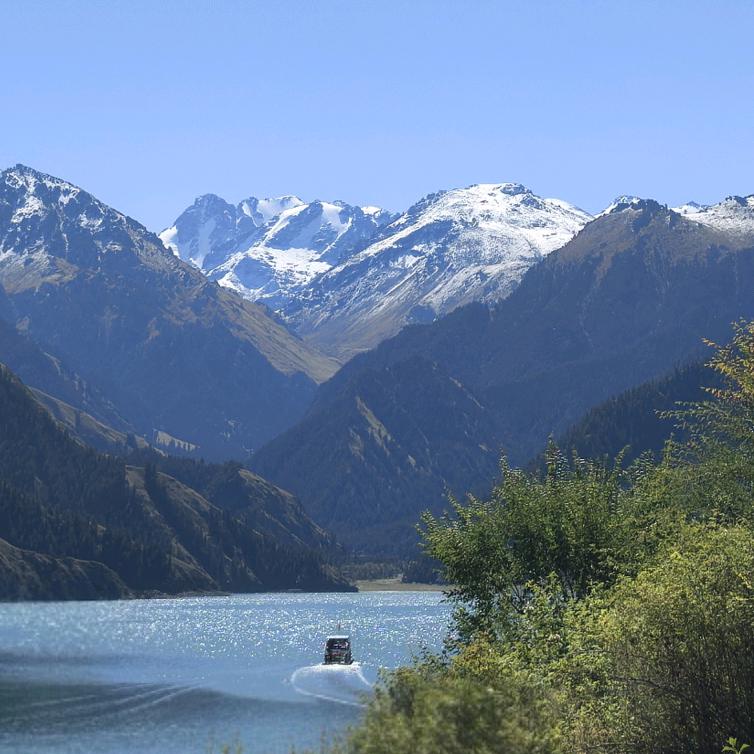 新农人- 张云健.