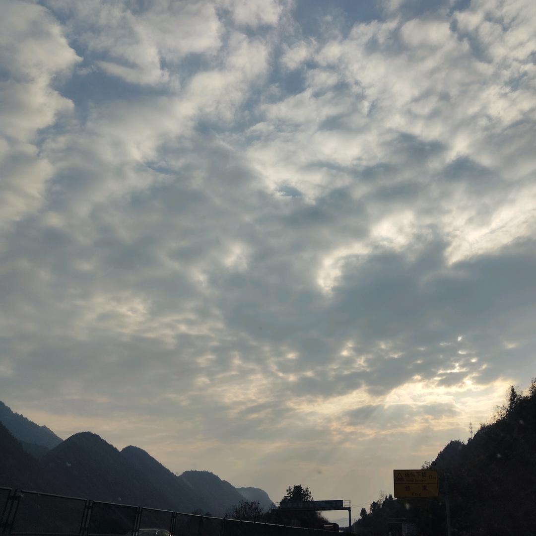 “粽”有千般好🌿