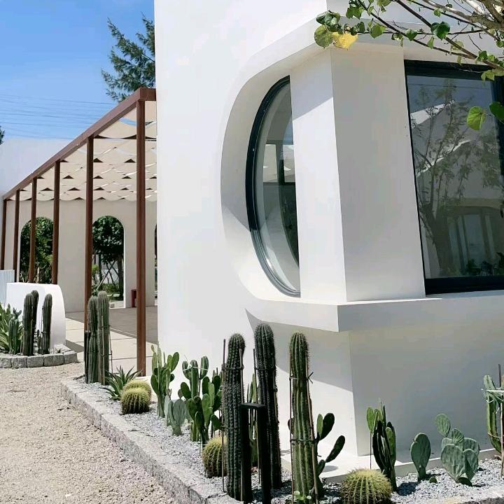 气球🎈水果菜的铃铃🍁 ^