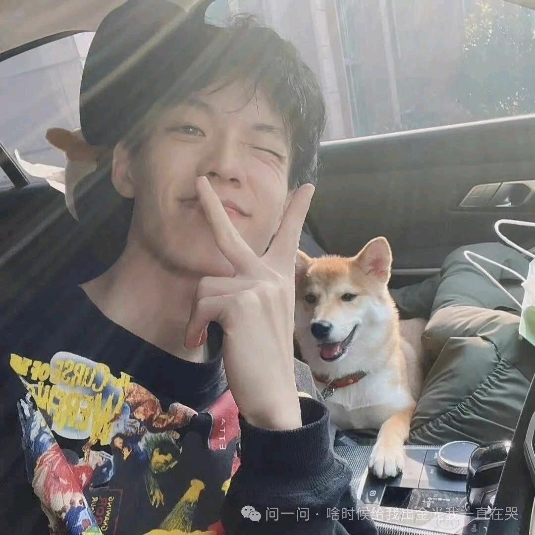 山林间，树枝上