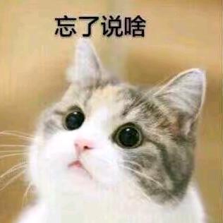 爱吃炒饭的囚鸟